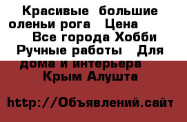 Красивые  большие оленьи рога › Цена ­ 3 000 - Все города Хобби. Ручные работы » Для дома и интерьера   . Крым,Алушта